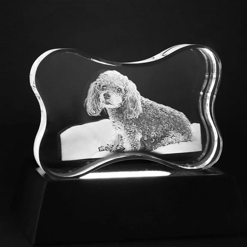 Customize Horizontal Dog Bone-Shaped Crystal