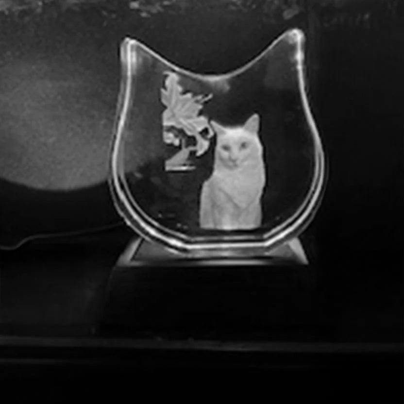 Crafted 3D Crystal Engraving